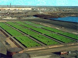 Whyalla Steel Mill Effluent Treatment