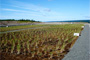 Central Newfoundland Landfill Leachate Treatment