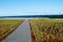 Central Newfoundland Landfill Leachate Treatment