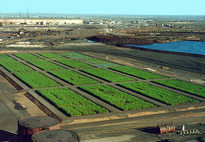 Whyalla Steel Mill Effluent Treatment